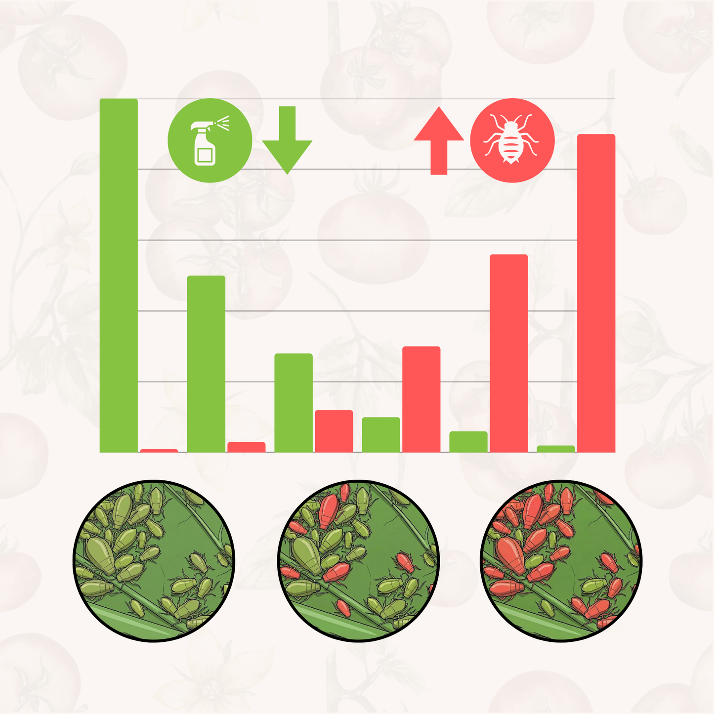 Insect Resistance Testing