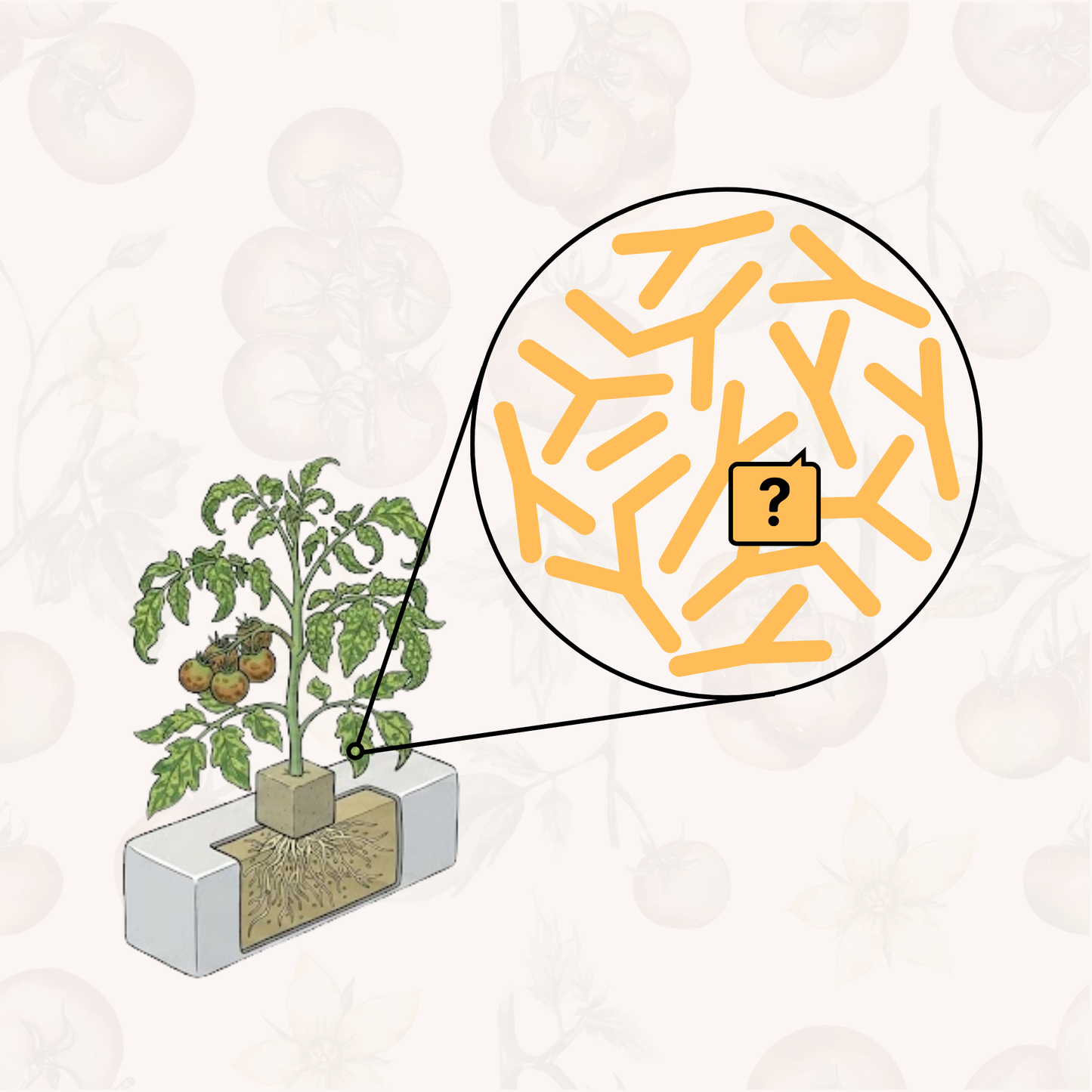 Tomato Virus Scan